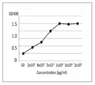 Anti-E. coli Labile Toxin A antibody [ec-01] used in ELISA (ELISA). GTX00862