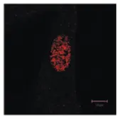 Anti-GAK antibody [9-10] used in Immunocytochemistry/ Immunofluorescence (ICC/IF). GTX00874