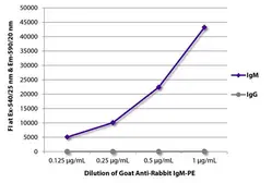 Goat Anti-Rabbit IgM antibody, pre-adsorbed. GTX00940