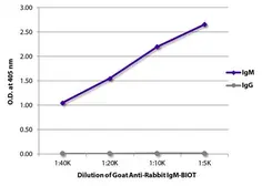 Goat Anti-Rabbit IgM antibody, pre-adsorbed (Biotin). GTX00941