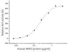 Human BMP2 protein (active). GTX01248-pro