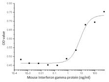 Mouse Interferon gamma protein, human IgG1 Fc tag (active). GTX01302-pro