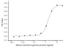 Mouse Interferon gamma protein, His tag (active). GTX01303-pro