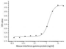 Mouse Interferon gamma protein, His tag (active). GTX01303-pro