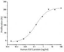 Human FGF1 protein (active). GTX01347-pro