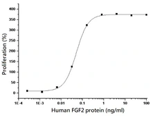 Human FGF2 protein (active). GTX01349-pro
