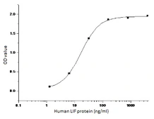 Human LIFR protein, His tag. GTX01365-pro