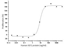 Human IGF1 protein (active). GTX01425-pro