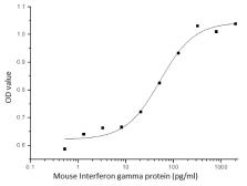 Mouse Interferon gamma protein (active). GTX01440-pro