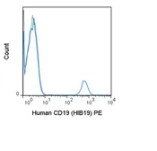 Anti-CD19 antibody [HIB19] (PE) used in Flow cytometry (FACS). GTX01455-08