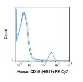 Anti-CD19 antibody [HIB19] (PE-Cy7) used in Flow cytometry (FACS). GTX01455-10