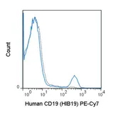 Anti-CD19 antibody [HIB19] (PE-Cy7) used in Flow cytometry (FACS). GTX01455-10