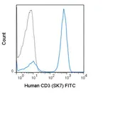 Anti-CD3 antibody [SK7] (FITC) used in Flow cytometry (FCM). GTX01460-06