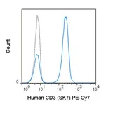 Anti-CD3 antibody [SK7] (PE-Cy7) used in Flow cytometry (FCM). GTX01460-10