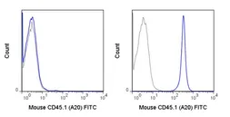 Anti-CD45.1 antibody [A20] (FITC) used in Flow cytometry (FACS). GTX01463-06