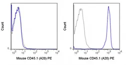 Anti-CD45.1 antibody [A20] (PE) used in Flow cytometry (FACS). GTX01463-08