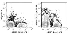 Anti-c-Kit antibody [ACK2] (PE) used in Flow cytometry (FACS). GTX01469-08