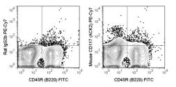 Anti-c-Kit antibody [ACK2] (PE-Cy7) used in Flow cytometry (FACS). GTX01469-10