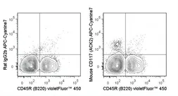 Anti-c-Kit antibody [ACK2] (APC-Cy7) used in Flow cytometry (FCM). GTX01469-15
