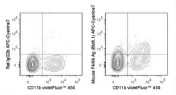 Anti-F4/80 antibody [BM8.1] (APC-Cy7) used in Flow cytometry (FCM). GTX01470-15