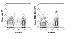 Anti-IL2 Receptor alpha antibody [BC96] (PE) used in Flow cytometry (FACS). GTX01471-08
