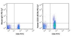 Anti-IL2 Receptor alpha antibody [BC96] (PE-Cy7) used in Flow cytometry (FACS). GTX01471-10