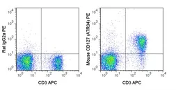 Anti-IL7 Receptor alpha antibody [A7R34] (PE) used in Flow cytometry (FCM). GTX01473-08
