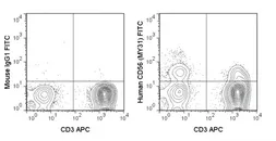 Anti-NCAM antibody [MY31] (FITC) used in Flow cytometry (FCM). GTX01477-06