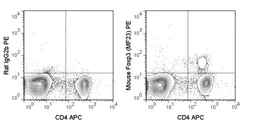 Anti-FOXP3 antibody [MF23] (PE) used in Flow cytometry (FACS). GTX01488-08