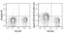 Anti-ICOS Ligand antibody [HK5.3] (PE) used in Flow cytometry (FACS). GTX01490-08