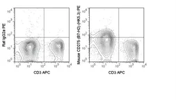 Anti-ICOS Ligand antibody [HK5.3] (PE) used in Flow cytometry (FCM). GTX01490-08