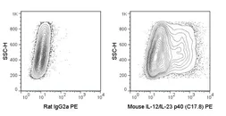 Anti-IL12B / IL12 p40 antibody [C17-8] (PE) used in Flow cytometry (FACS). GTX01491-08