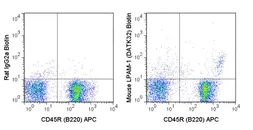 Anti-Integrin alpha 4 + beta 7 antibody [DATK32] (Biotin) used in Flow cytometry (FACS). GTX01493-02