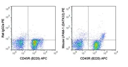 Anti-Integrin alpha 4 + beta 7 antibody [DATK32] (PE) used in Flow cytometry (FACS). GTX01493-08