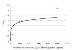 Human ACE2 (ECD) protein, His and Avi tag (active). GTX01550-pro