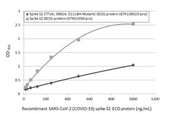 SARS-CoV-2 (COVID-19) Spike S2 (ECD) protein, human IgG Fc tag. GTX01559-pro