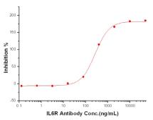 Anti-IL6 Receptor antibody [3H7D3H1] used in Neutralizing/Blocking/Inhibition (Neutralizing/Inhibition). GTX02130