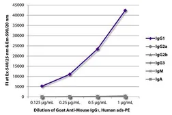 Goat Anti-Mouse IgG1 (Heavy chain) antibody, pre-adsorbed (PE). GTX02567