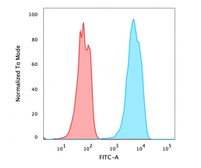 Anti-FOXA1 antibody [FOXA1/2230R] used in Flow cytometry (FACS). GTX02640