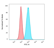 Anti-p63 antibody [TP40/3980R] used in Flow cytometry (FACS). GTX02728