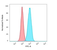 Anti-p63 antibody [TP40/3980R] used in Flow cytometry (FCM). GTX02728
