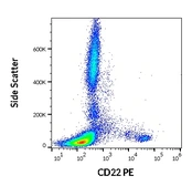 Anti-CD22 antibody [S-HCL-1] (PE) used in Flow cytometry (FACS). GTX02878-08