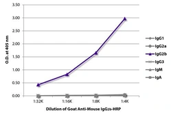 Goat Anti-Mouse IgG2b antibody, pre-adsorbed (HRP). GTX02888-01