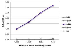 Mouse Anti-Rat IgG2b antibody [2B10A8] (HRP). GTX02894-01