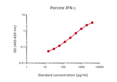 Anti-Interferon gamma antibody [pIFNγ-I] used in ELISA (ELISA). GTX02942