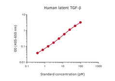 Anti-TGF beta 1 antibody [MT593] used in ELISA (ELISA). GTX03004