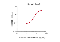 Apolipoprotein D ELISA pair [D544/D263]. GTX03049