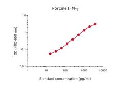 Interferon gamma ELISA pair [pIFN&#947;-I/P2C11]. GTX03107
