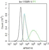 Anti-AGEs antibody used in Flow cytometry (FCM). GTX03353