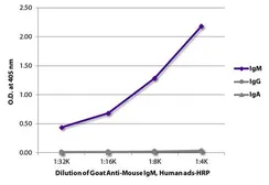 Goat anti-Mouse IgM (mu chain) antibody, pre-adsorbed (HRP). GTX03389-01